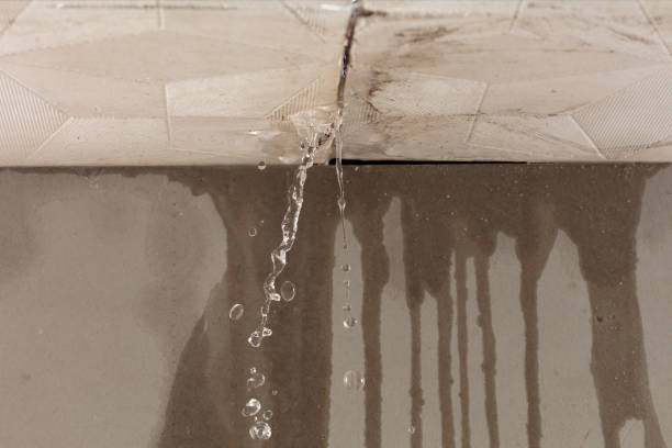 Professional Burst Pipe Cleanup technician working in Blair, NE